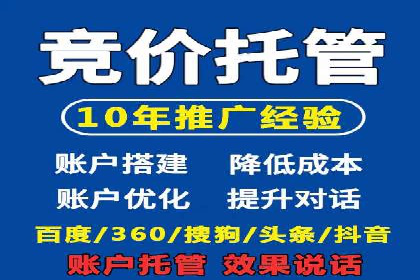 SEM专员的角色与成功案例解析